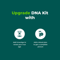 DNA Kit